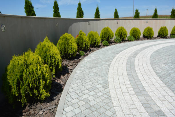 Reasons to Select Us for Your Driveway Paving Requirements in Manchester, GA